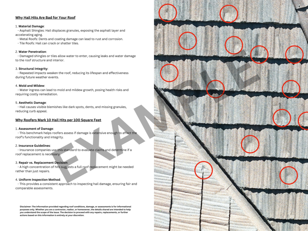 SkyGUARD roof inspection example